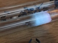 IMG_20260621_143515.jpg