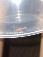 20260621_171901.jpg