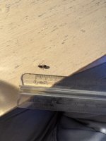 IMG_0852.jpeg