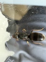 IMG_0850.jpeg