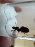 IMG_0847.jpeg