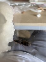 IMG_0842.jpeg