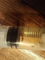 IMG20260621214216.jpg