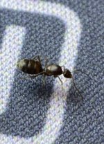 IMG_1098.jpeg