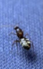 IMG_1099.jpeg