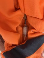 IMG_3538.jpeg