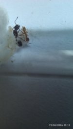 IMG_20260622_091622.jpg