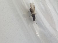 IMG_6012.jpeg