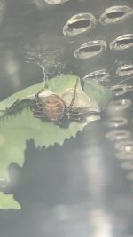 IMG_5576.jpeg