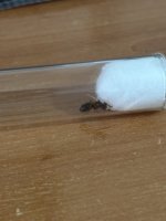 IMG_4923.jpeg