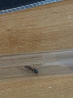 IMG_4926.jpeg