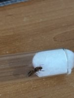 IMG_4925.jpeg
