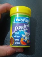 IMG_20260622_202738.jpg