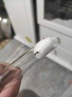 IMG_20260622_205641.jpg