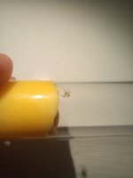1000039263.jpg