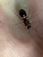 IMG_0953.jpeg
