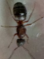 IMG_0951.jpeg