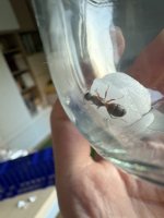 IMG_0950.jpeg