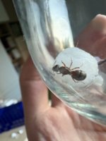 IMG_0949.jpeg