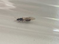 IMG_6014.jpeg IMG_6014.jpeg