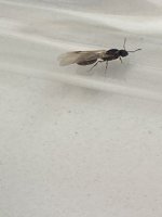 IMG_6011.jpeg