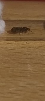 IMG_20260623_203003947.jpg