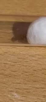 IMG_20260623_202909766.jpg
