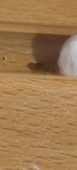 IMG_20260623_202901820.jpg