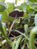 IMG_0766.jpeg