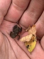 IMG_0776.jpeg