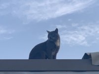 IMG_4977.jpeg