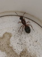 IMG_1472.jpeg