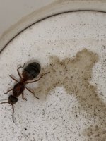 IMG_1470.jpeg
