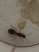 IMG_1471.jpeg