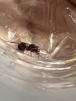 IMG_5052.jpeg