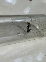 IMG_3466.jpeg
