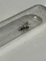 IMG_3468.jpeg