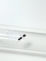 IMG_5811.jpeg