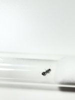 IMG_5810.jpeg
