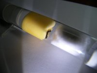 100_2883.JPG