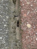 IMG_2190.jpeg