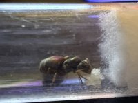 IMG_2423.jpeg