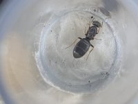 IMG_6692.jpeg