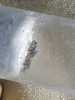 IMG_6695.jpeg