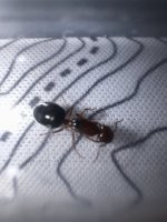 IMG_7660.jpeg