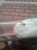 IMG_20260623_190248.jpg