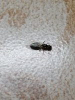 IMG_20260624_221316.jpg