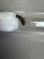 IMG_7593.jpeg