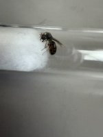 IMG_7592.jpeg