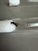 IMG_7591.jpeg